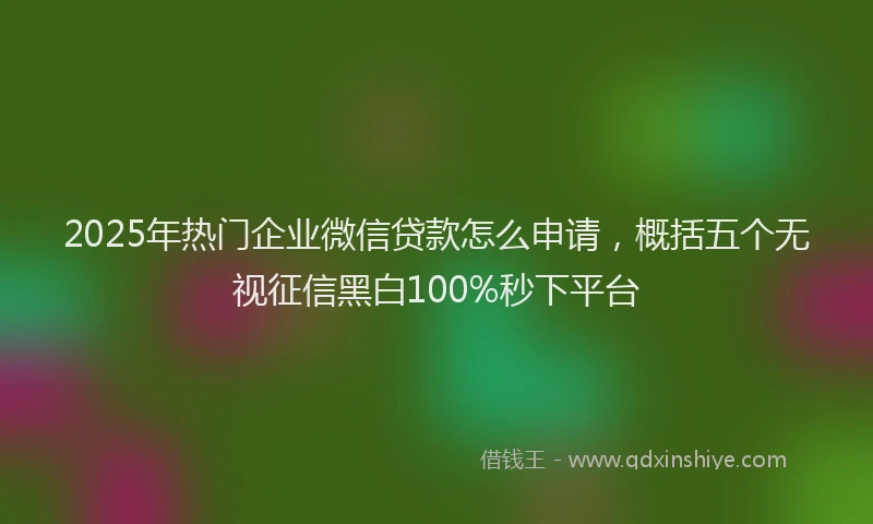 2025年热门企业微信贷款怎么申请，概括五个无视征信黑白100%秒下平台