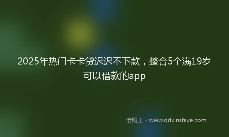 2025年热门卡卡贷迟迟不下款，整合5个满19岁可以借款的app