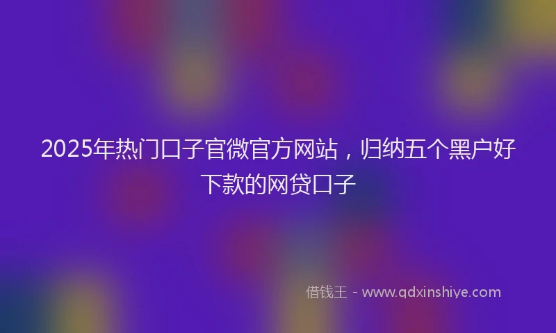2025年热门口子官微官方网站，归纳五个黑户好下款的网贷口子