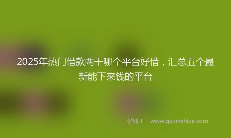 2025年热门借款两干哪个平台好借，汇总五个最新能下来钱的平台