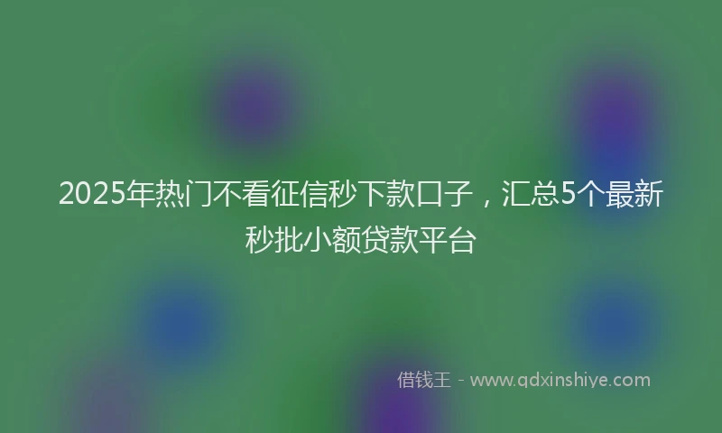2025年热门不看征信秒下款口子，汇总5个最新秒批小额贷款平台