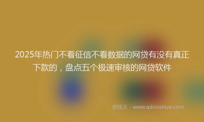 2025年热门不看征信不看数据的网贷有没有真正下款的，盘点五个极速审核的网贷软件