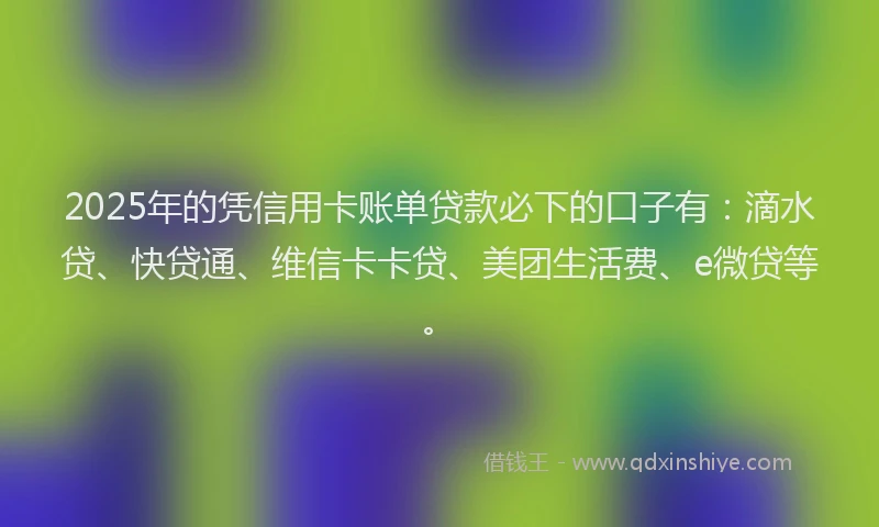 2025年的凭信用卡账单贷款必下的口子有：滴水贷、快贷通、维信卡卡贷、美团生活费、e微贷等。