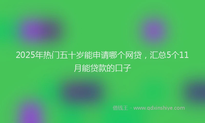 2025年热门五十岁能申请哪个网贷，汇总5个11月能贷款的口子