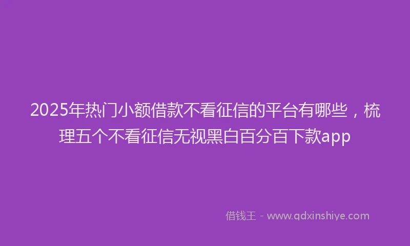2025年热门小额借款不看征信的平台有哪些，梳理五个不看征信无视黑白百分百下款app