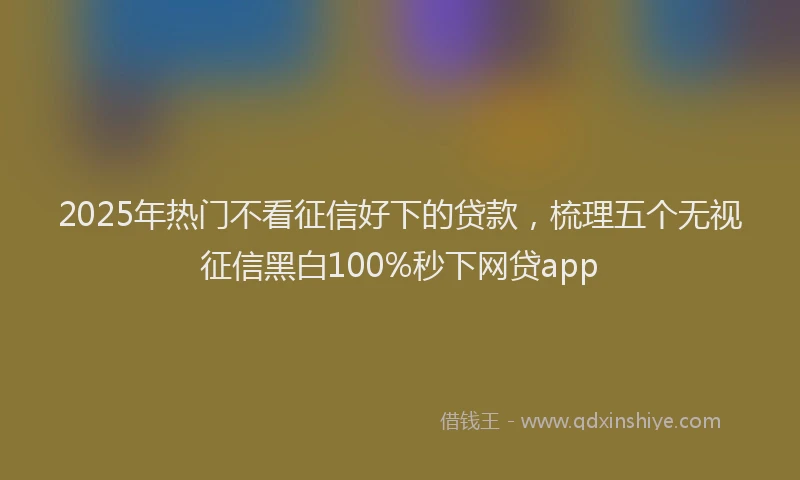 2025年热门不看征信好下的贷款，梳理五个无视征信黑白100%秒下网贷app