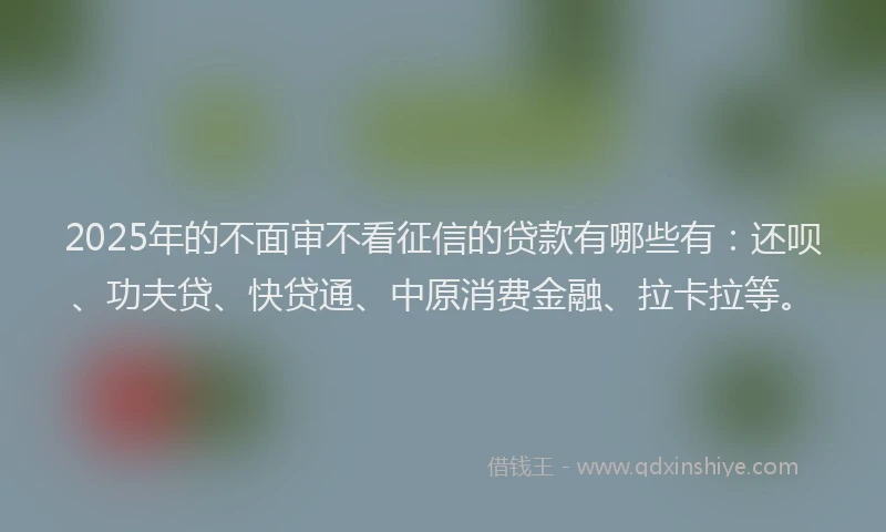 2025年的不面审不看征信的贷款有哪些有：还呗、功夫贷、快贷通、中原消费金融、拉卡拉等。