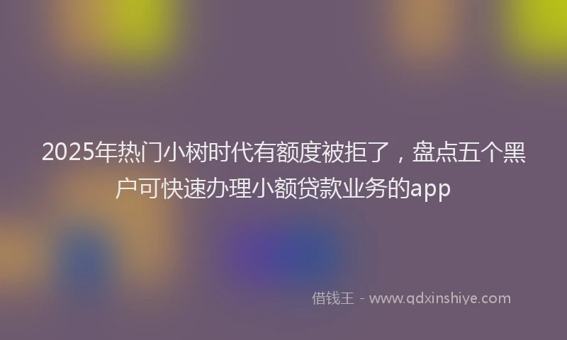 2025年热门小树时代有额度被拒了，盘点五个黑户可快速办理小额贷款业务的app