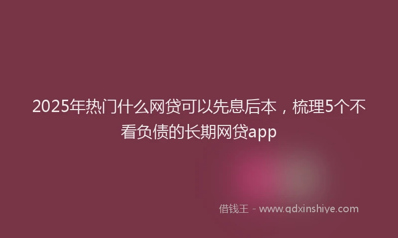 2025年热门什么网贷可以先息后本，梳理5个不看负债的长期网贷app