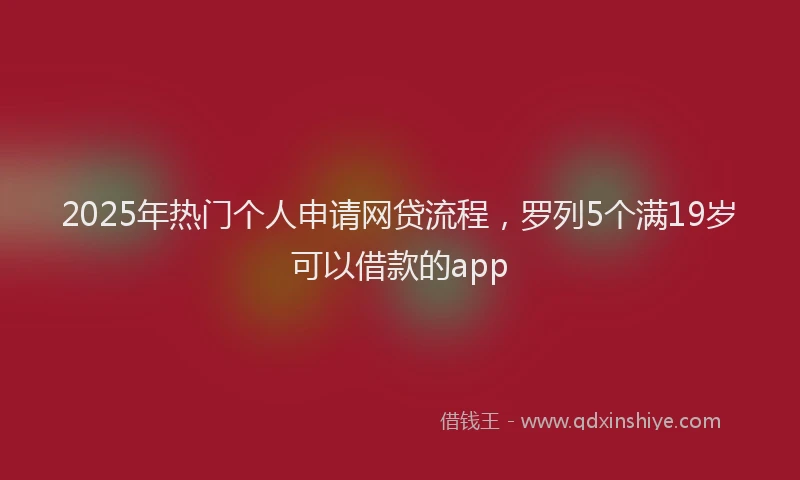2025年热门个人申请网贷流程，罗列5个满19岁可以借款的app