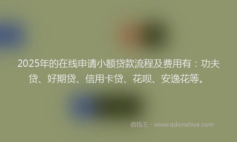 2025年的在线申请小额贷款流程及费用有：功夫贷、好期贷、信用卡贷、花呗、安逸花等。