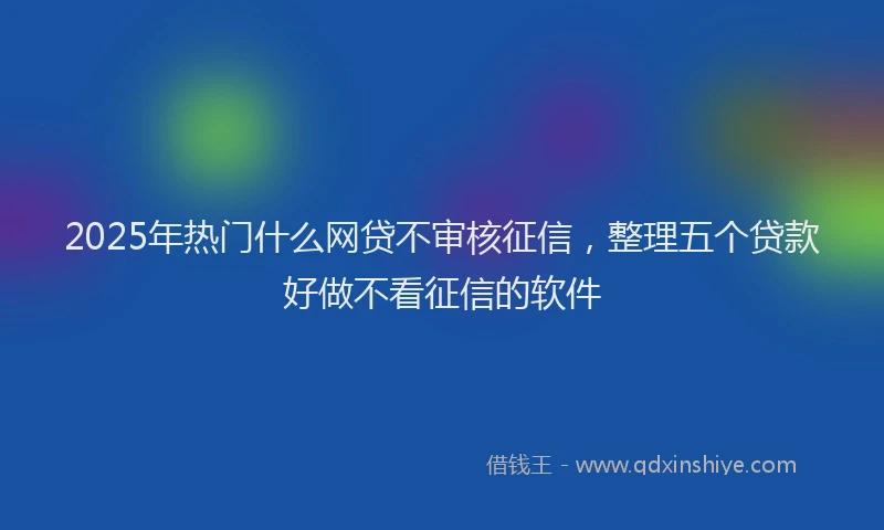 2025年热门什么网贷不审核征信，整理五个贷款好做不看征信的软件