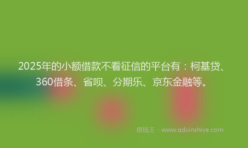 2025年的小额借款不看征信的平台有：柯基贷、360借条、省呗、分期乐、京东金融等。