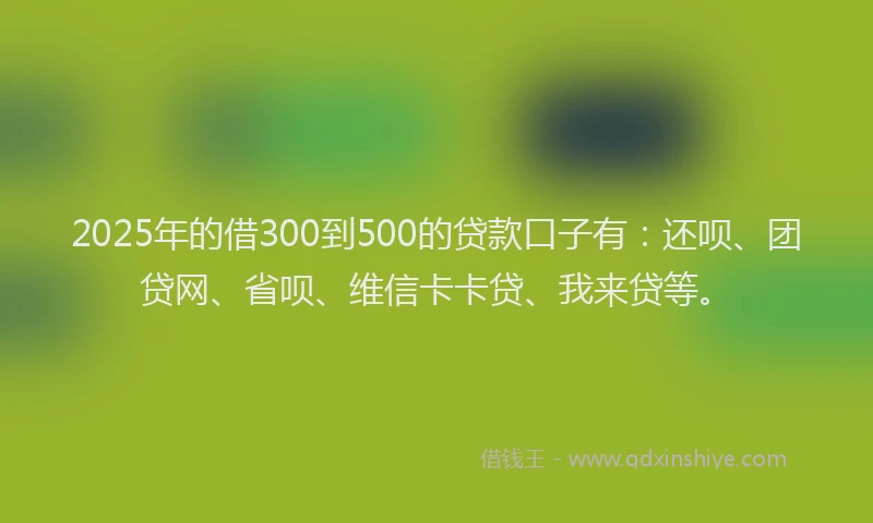 2025年的借300到500的贷款口子有：还呗、团贷网、省呗、维信卡卡贷、我来贷等。
