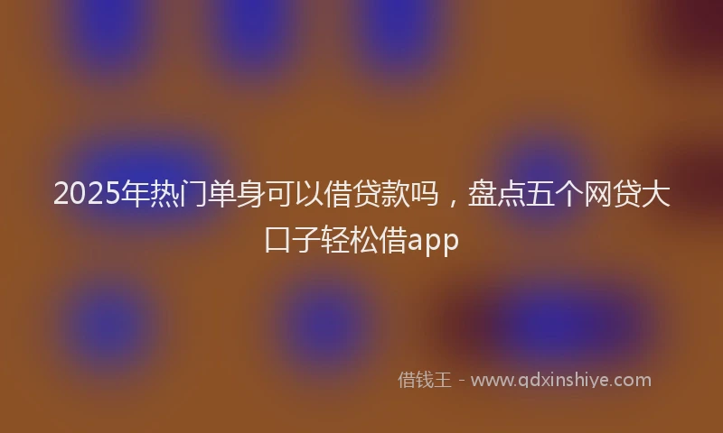 2025年热门单身可以借贷款吗，盘点五个网贷大口子轻松借app