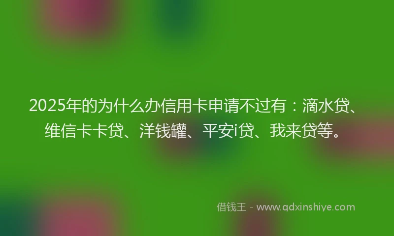 2025年的为什么办信用卡申请不过有：滴水贷、维信卡卡贷、洋钱罐、平安i贷、我来贷等。