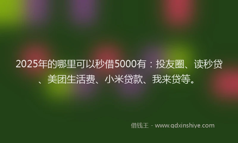 2025年的哪里可以秒借5000有：投友圈、读秒贷、美团生活费、小米贷款、我来贷等。