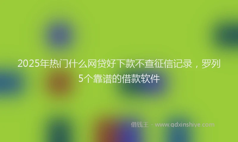 2025年热门什么网贷好下款不查征信记录，罗列5个靠谱的借款软件
