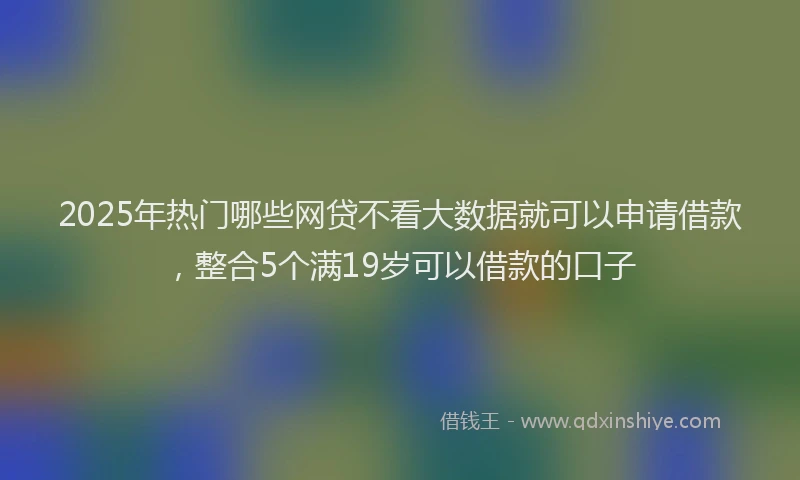2025年热门哪些网贷不看大数据就可以申请借款，整合5个满19岁可以借款的口子