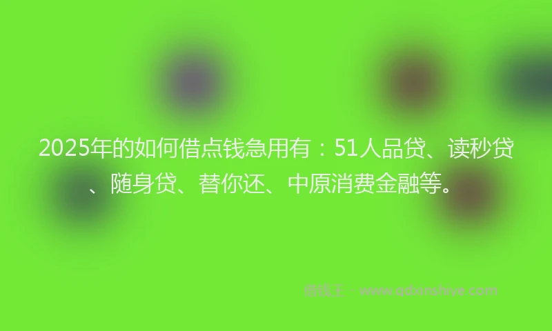 2025年的如何借点钱急用有：51人品贷、读秒贷、随身贷、替你还、中原消费金融等。