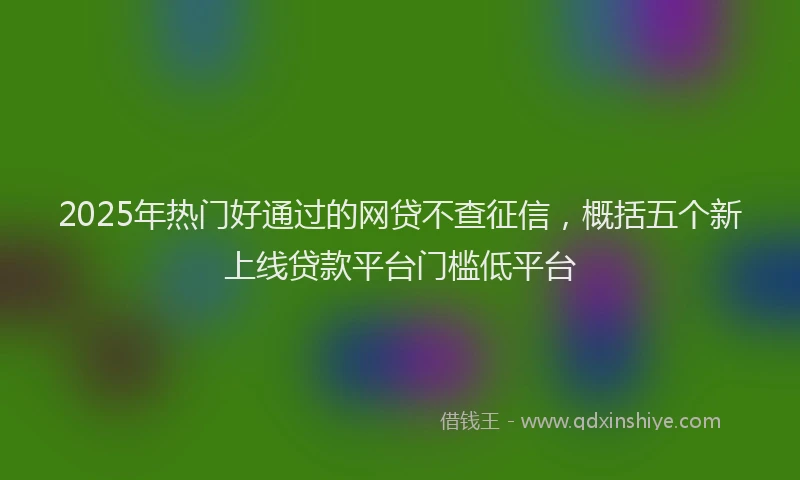 2025年热门好通过的网贷不查征信，概括五个新上线贷款平台门槛低平台