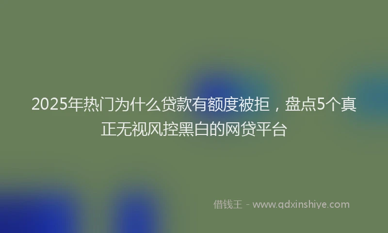 2025年热门为什么贷款有额度被拒，盘点5个真正无视风控黑白的网贷平台