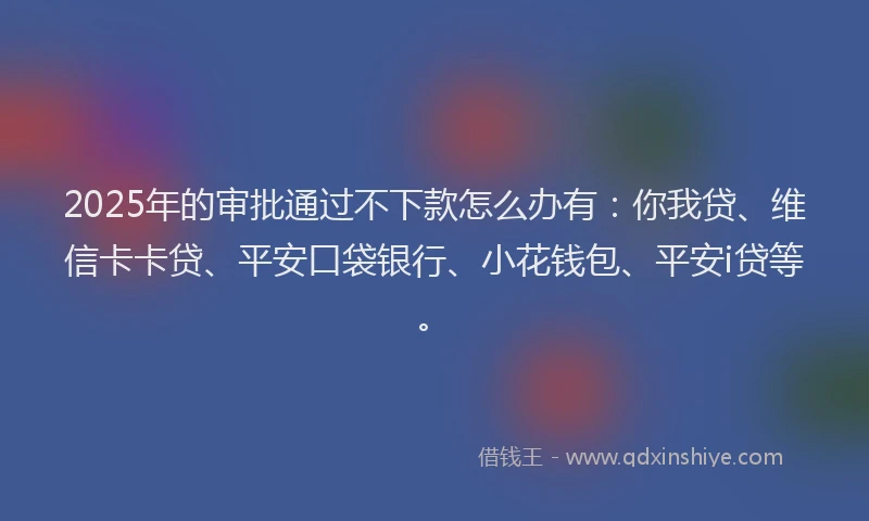 2025年的审批通过不下款怎么办有：你我贷、维信卡卡贷、平安口袋银行、小花钱包、平安i贷等。
