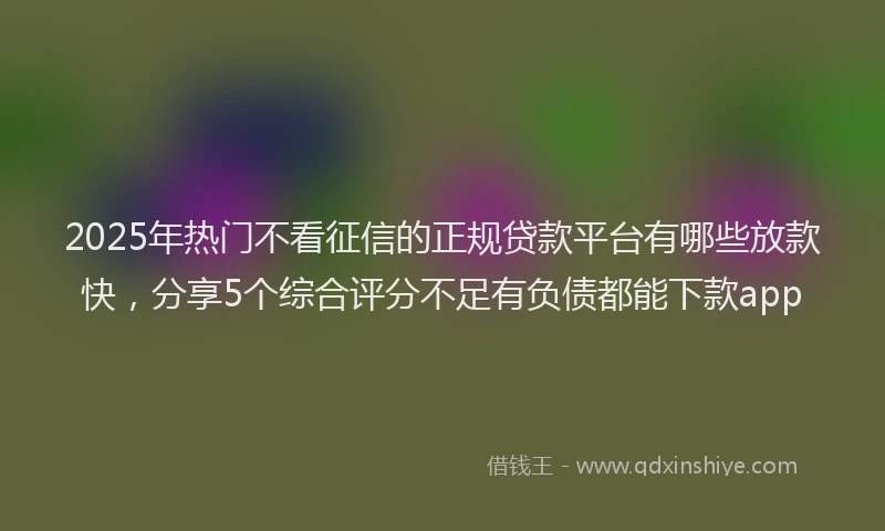 2025年热门不看征信的正规贷款平台有哪些放款快，分享5个综合评分不足有负债都能下款app