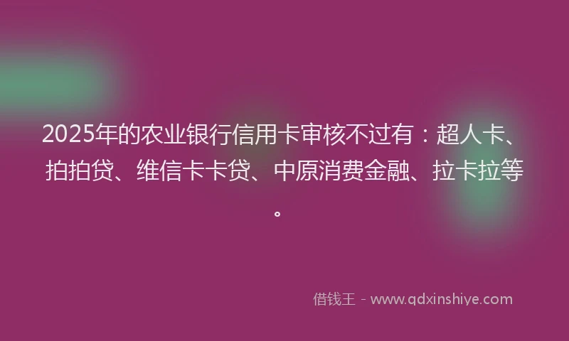 2025年的农业银行信用卡审核不过有：超人卡、拍拍贷、维信卡卡贷、中原消费金融、拉卡拉等。