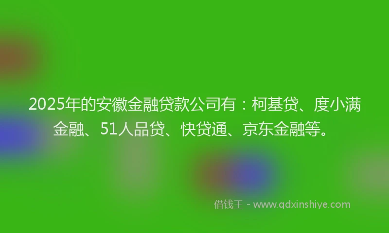 2025年的安徽金融贷款公司有：柯基贷、度小满金融、51人品贷、快贷通、京东金融等。