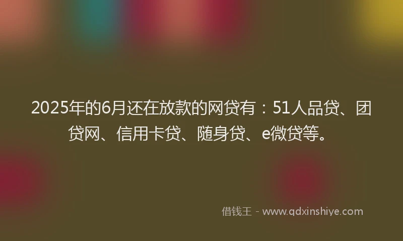 2025年的6月还在放款的网贷有：51人品贷、团贷网、信用卡贷、随身贷、e微贷等。