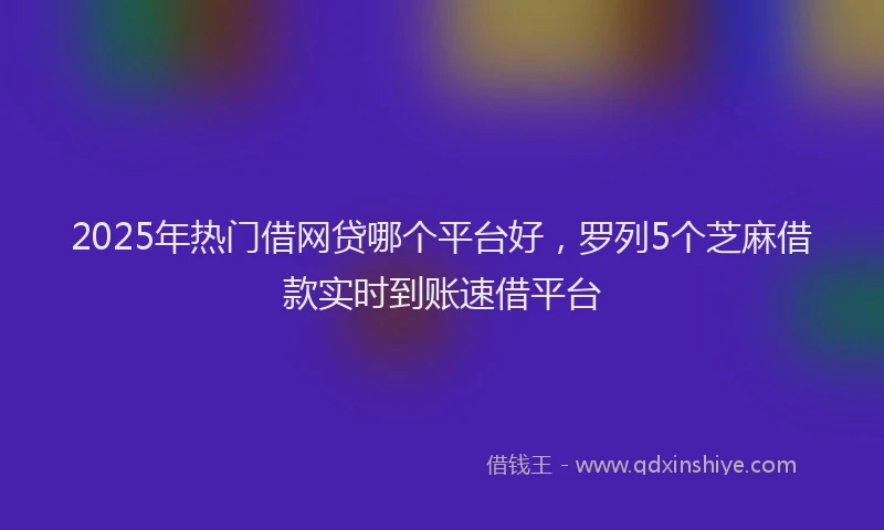 2025年热门借网贷哪个平台好，罗列5个芝麻借款实时到账速借平台