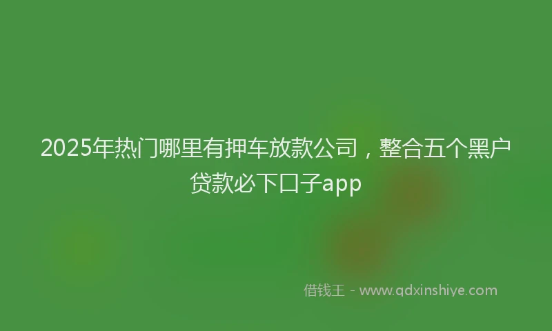 2025年热门哪里有押车放款公司，整合五个黑户贷款必下口子app