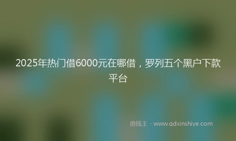 2025年热门借6000元在哪借，罗列五个黑户下款平台
