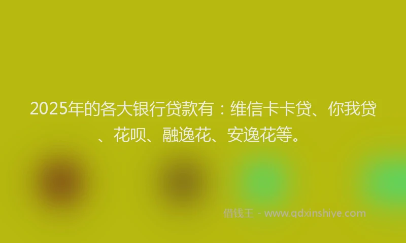 2025年的各大银行贷款有：维信卡卡贷、你我贷、花呗、融逸花、安逸花等。