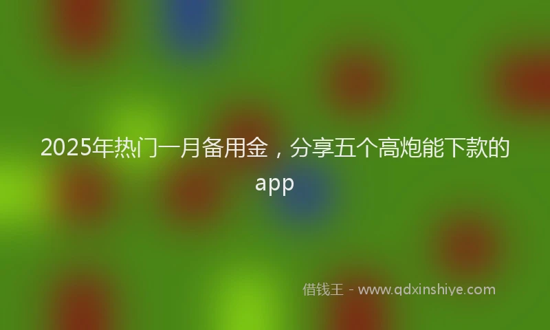 2025年热门一月备用金，分享五个高炮能下款的app