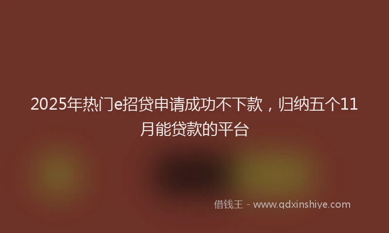 2025年热门e招贷申请成功不下款，归纳五个11月能贷款的平台