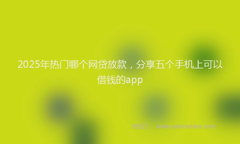 2025年热门哪个网贷放款，分享五个手机上可以借钱的app