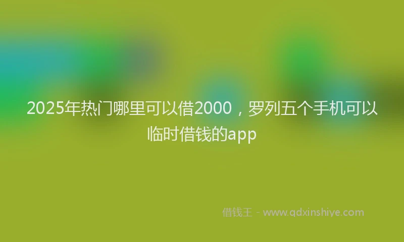 2025年热门哪里可以借2000，罗列五个手机可以临时借钱的app