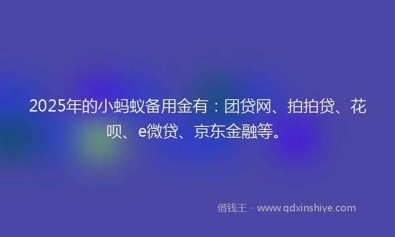 2025年的小蚂蚁备用金有:团贷网、拍拍贷、花呗、e微贷、京东金融等。