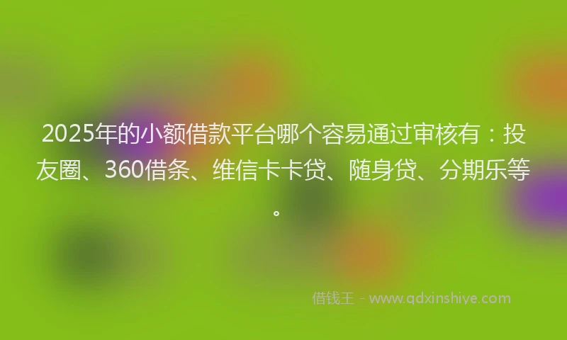 2025年的小额借款平台哪个容易通过审核有：投友圈、360借条、维信卡卡贷、随身贷、分期乐等。