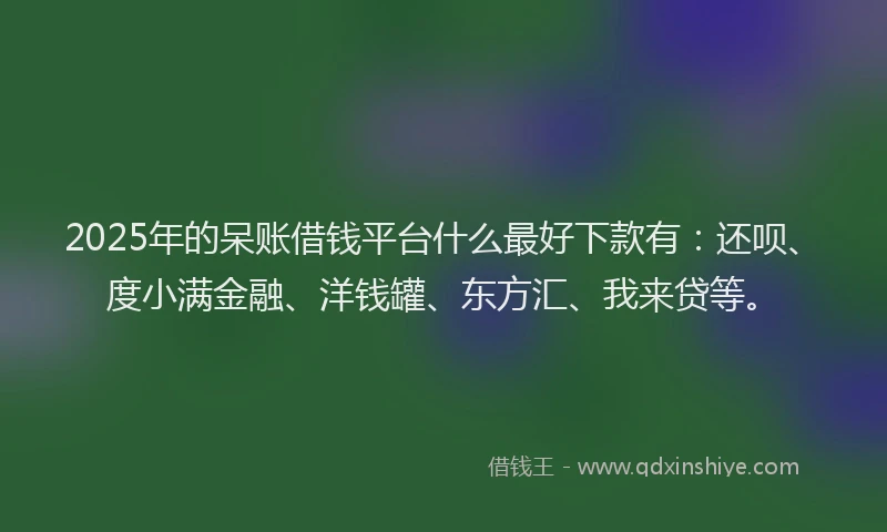 2025年的呆账借钱平台什么最好下款有：还呗、度小满金融、洋钱罐、东方汇、我来贷等。