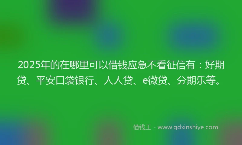 2025年的在哪里可以借钱应急不看征信有：好期贷、平安口袋银行、人人贷、e微贷、分期乐等。