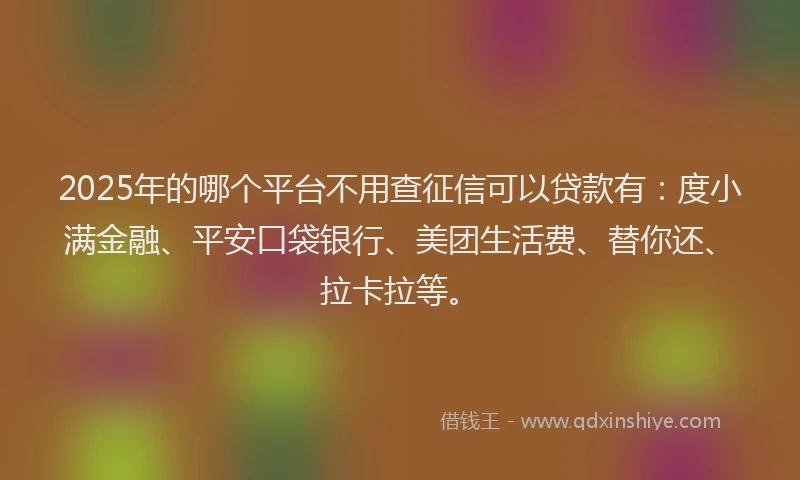 2025年的哪个平台不用查征信可以贷款有：度小满金融、平安口袋银行、美团生活费、替你还、拉卡拉等。