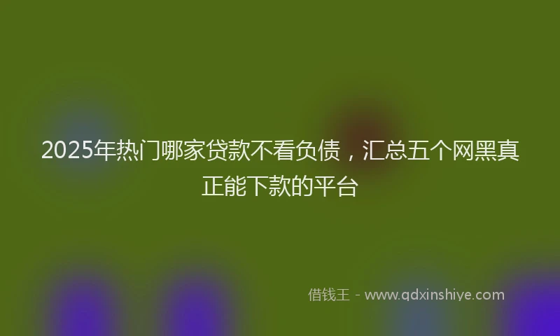 2025年热门哪家贷款不看负债，汇总五个网黑真正能下款的平台