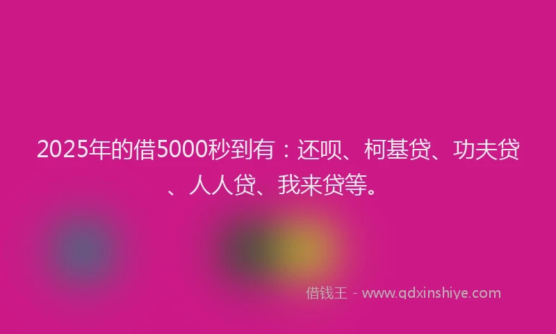 2025年的借5000秒到有：还呗、柯基贷、功夫贷、人人贷、我来贷等。