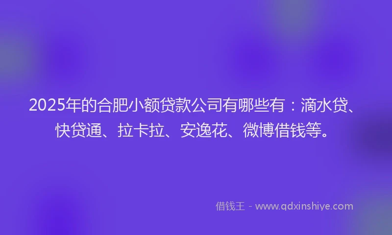 2025年的合肥小额贷款公司有哪些有：滴水贷、快贷通、拉卡拉、安逸花、微博借钱等。