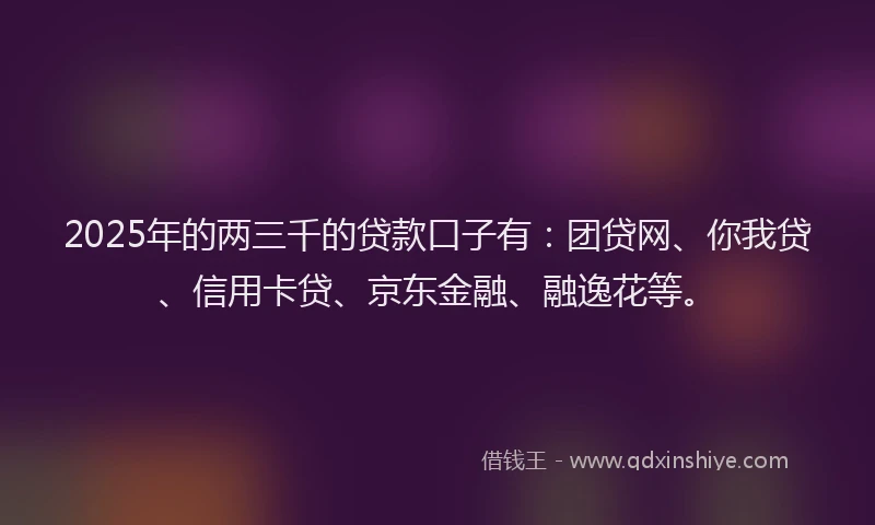 2025年的两三千的贷款口子有：团贷网、你我贷、信用卡贷、京东金融、融逸花等。