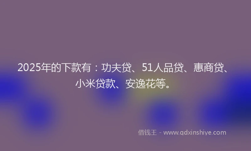 2025年的下款有：功夫贷、51人品贷、惠商贷、小米贷款、安逸花等。