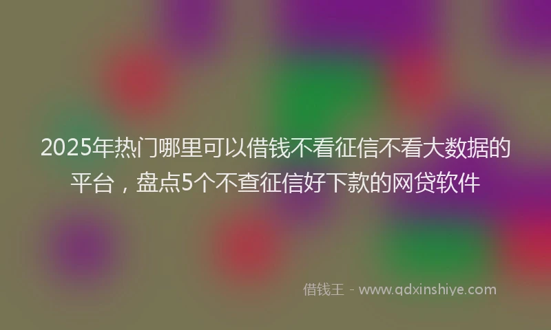 2025年热门哪里可以借钱不看征信不看大数据的平台，盘点5个不查征信好下款的网贷软件